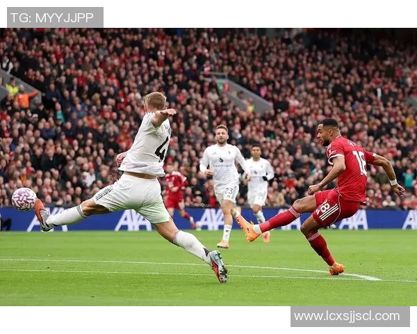 加克波的崛起之路:从青年才俊到足球巨星的华丽转身