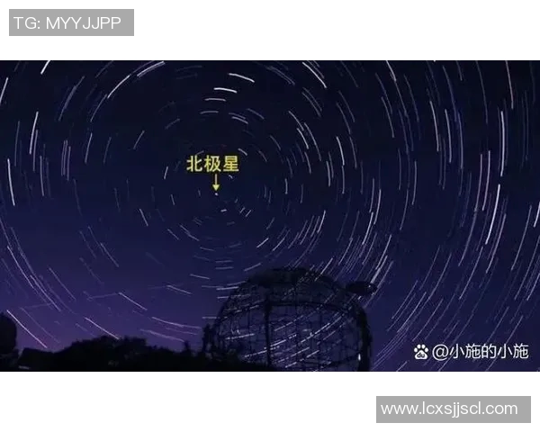 北方星与本土拓为的战略对决与市场前景分析